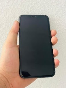 IPhone Camera Problem 2025 10 05